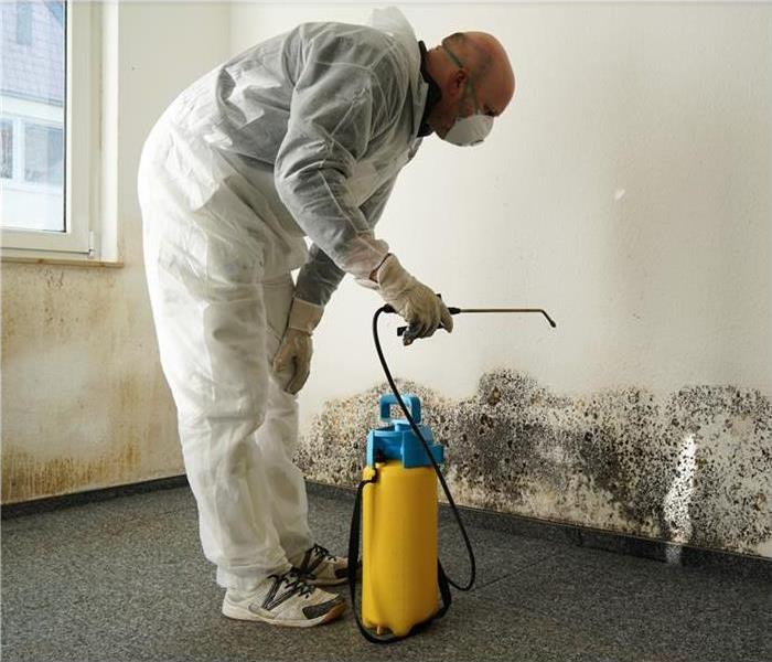 specialist in combating mold in an apartment