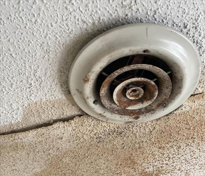 Mold damage on the ceiling vents